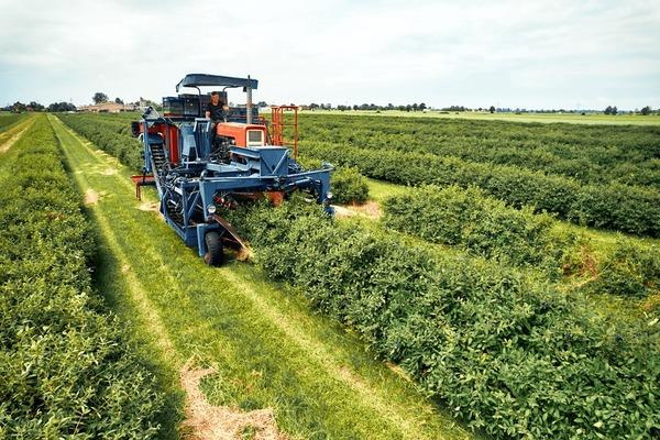 Expanding ​Your​ Empire: Tips for Successful Farm Expansion and Management