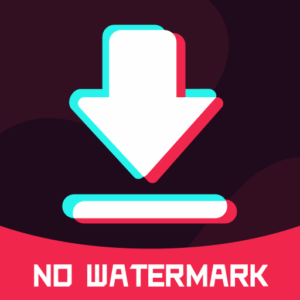 TikSaver APK